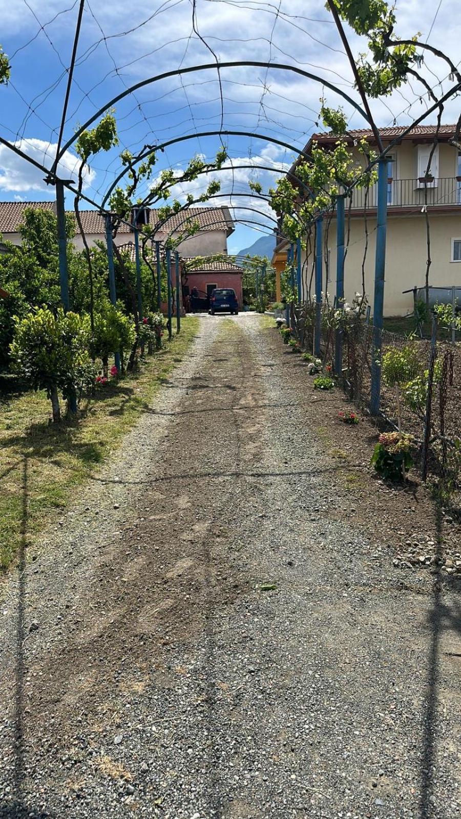 Guesthouse Marku - Mrizi I Zanave Fishte エクステリア 写真