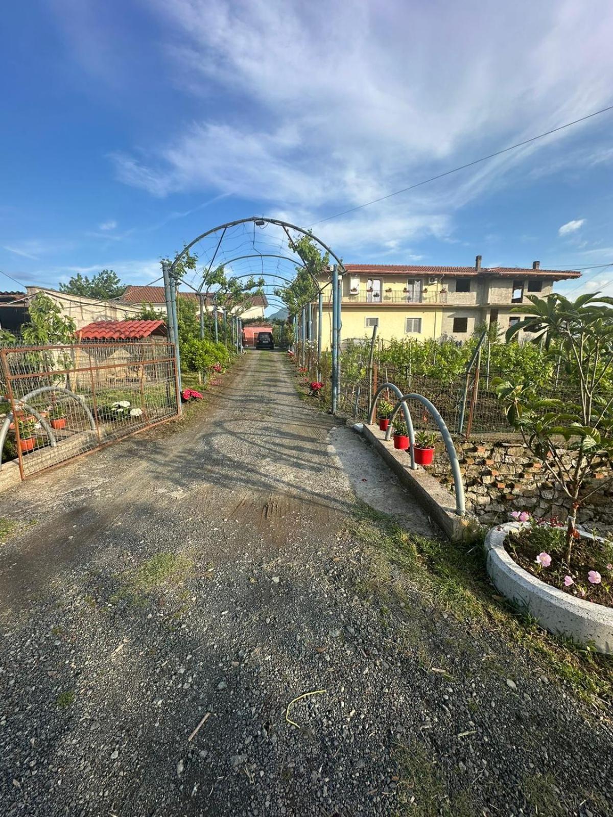 Guesthouse Marku - Mrizi I Zanave Fishte エクステリア 写真