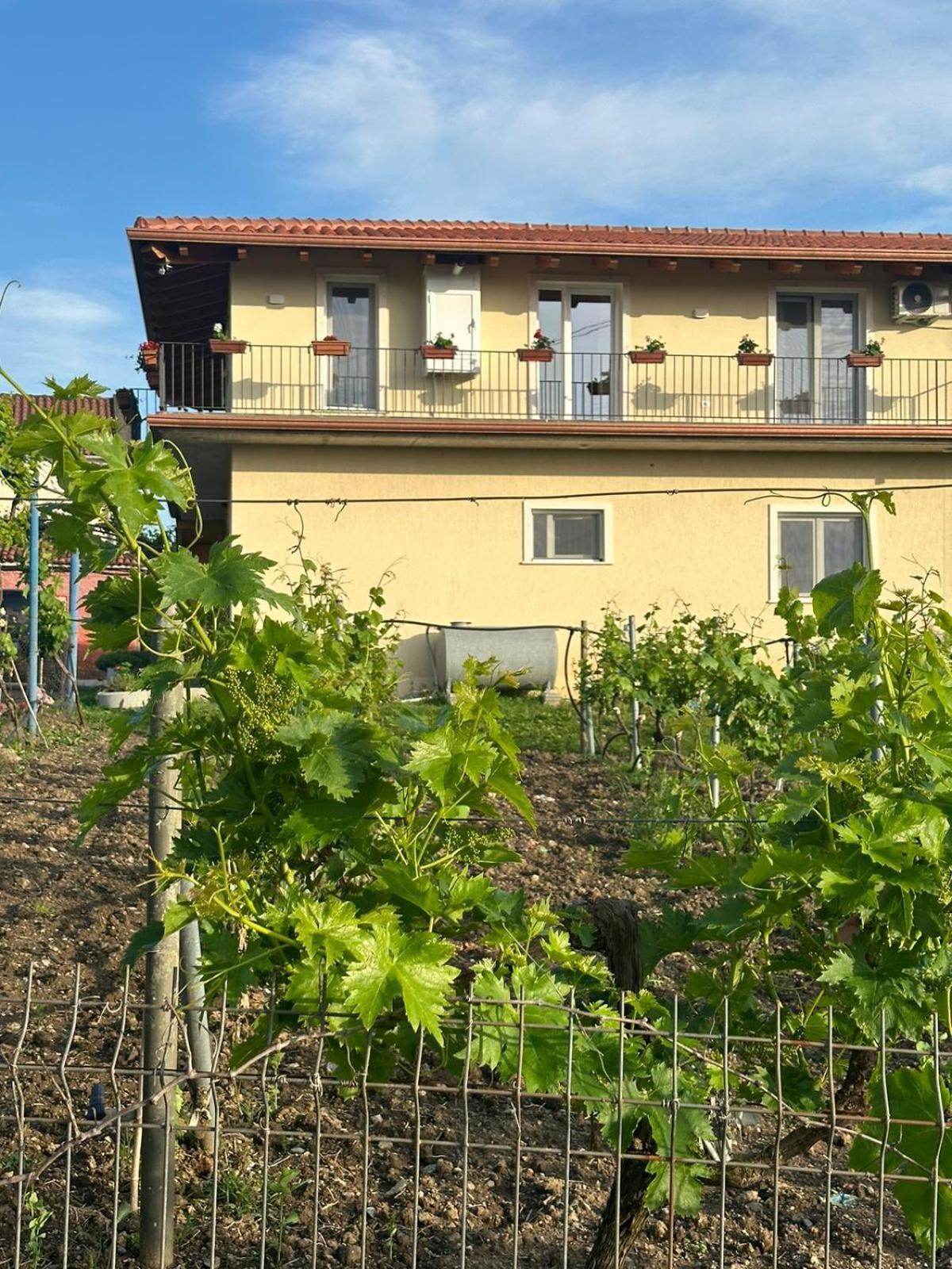 Guesthouse Marku - Mrizi I Zanave Fishte エクステリア 写真